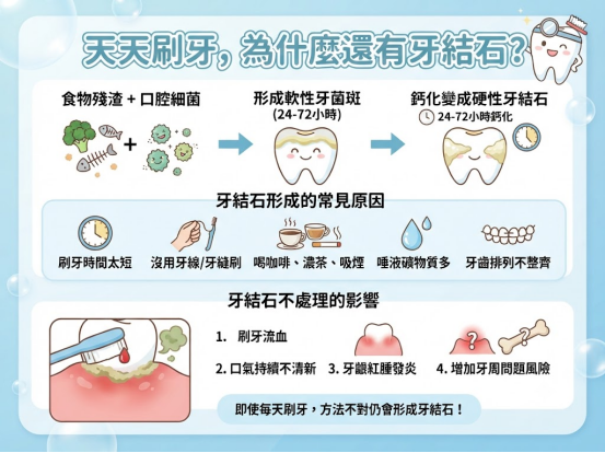 牙結石點樣形成？每日刷牙都仲有？